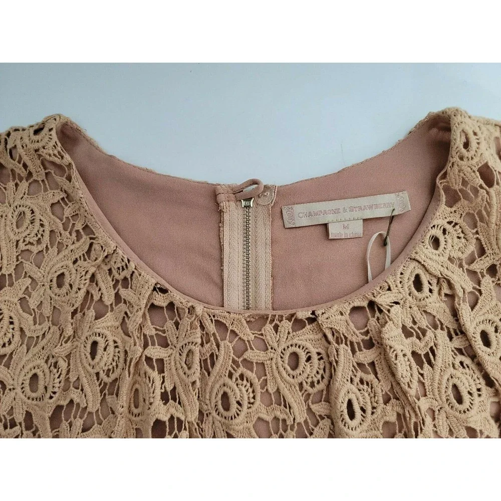 Champagne and Strawberry Anthropologie Mini Dress Medium Rose Crochet NWT Womens
